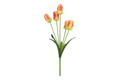 Tulip Darwin boeket geel/rood-L15B15H60CM