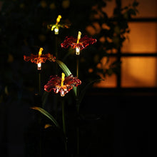 Afbeelding in Gallery-weergave laden, Tuinsteker Hibiscus Solar LED a-L13,5B13,5H75CM