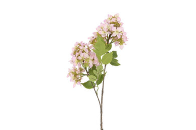 Hydrangea paars-L20B20H80CM