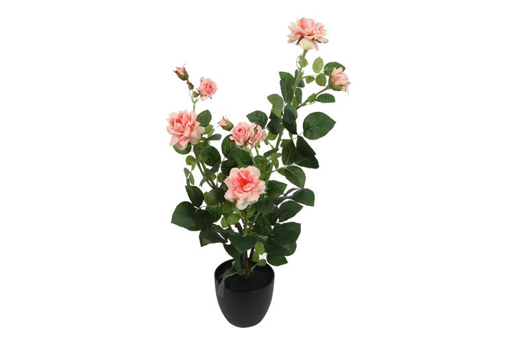 Jasmine roze-L22B22H69CM
