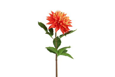 Dahlia S geel/oranje