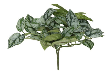 Scidapsus groen-L25B30H17,5CM