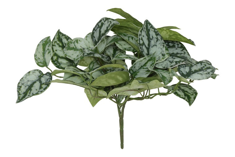 Scidapsus groen-L25B30H17,5CM