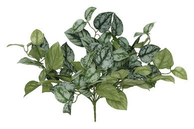 Scidapsus groen-L40B37,5H20CM