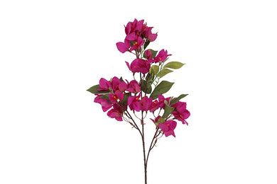 Bougainvillea paars-L15B15H76CM