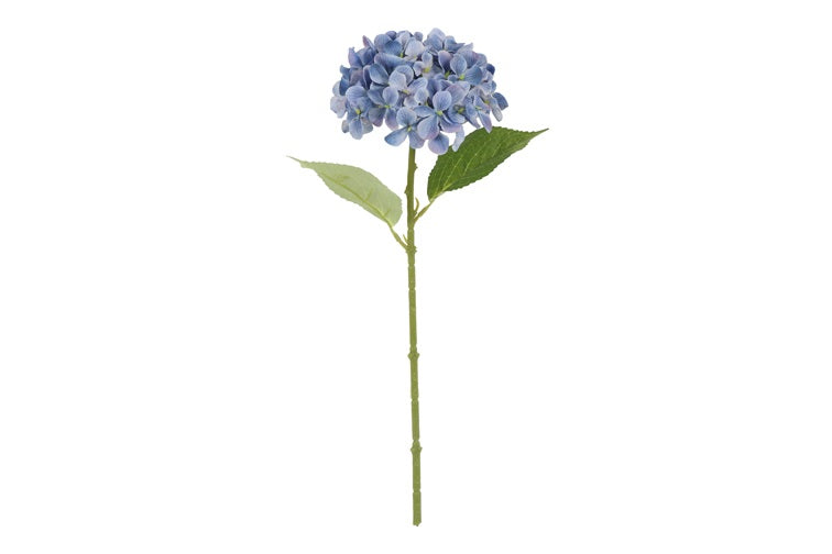 Hydrangea Aletta blauw-L14B14H40CM