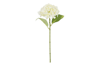 Hydrangea Aletta wit-L14B14H40CM