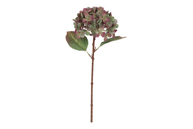 Hydrangea Aletta groen-L14B14H40CM