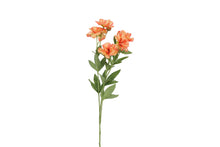 Afbeelding in Gallery-weergave laden, Anemone oranje-L10B10H74CM