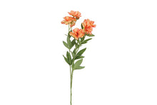 Afbeelding in Gallery-weergave laden, Anemone oranje-L10B10H74CM