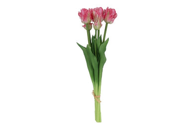 Tulipa (parrot) boeket 3Dp d.roze/wit-L16B16H47CM