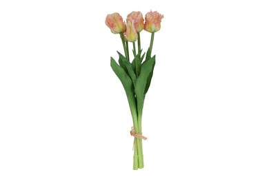 Tulipa (parrot) boeket 3Dp zalm/geel-L16B16H47CM