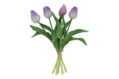 Tulipa boeket 3Dp d.paars/wit-L15B15H28CM