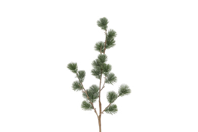 Kunstden Cedrus