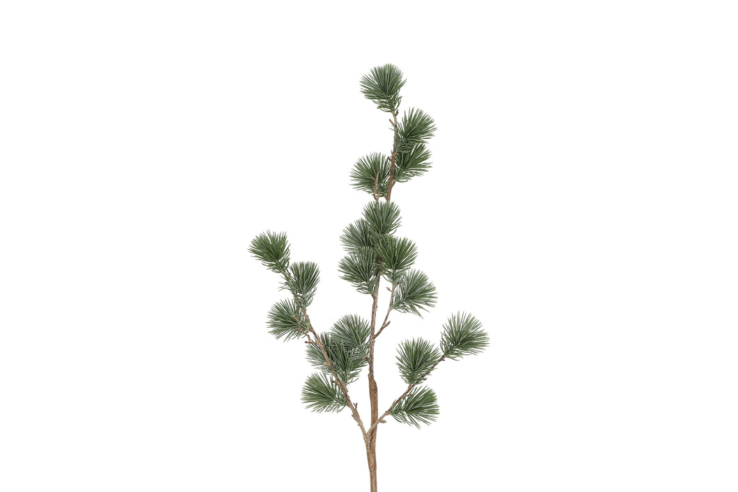 Kunstden Cedrus