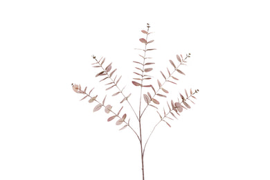 Kunstblad Eucalipthus Cinerea bruin