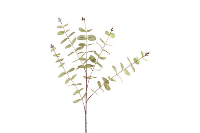 Kunstblad Eucalipthus Cinerea groen