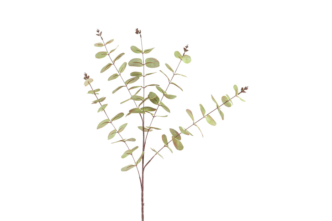 Kunstblad Eucalipthus Cinerea groen