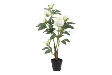 Kunstplant Peony M wit-L25B25H68CM