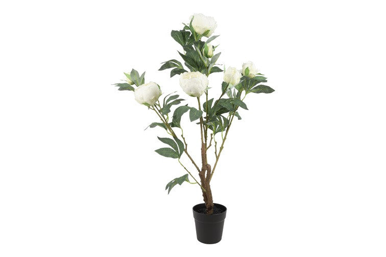 Kunstplant Peony L wit-L30B30H94CM