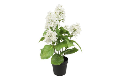 Kunstplant Hydrangea L wit-L60B60H58CM