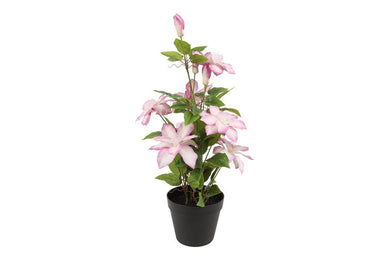Kunstplant Clematis L roze-L20B20H58CM