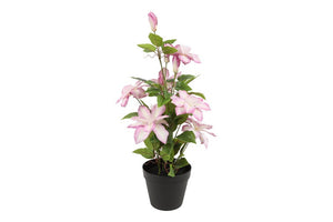 Kunstplant Clematis L roze-L20B20H58CM