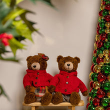 Afbeelding in Gallery-weergave laden, Knuffelbeer Renee S a2 rood-L25B15H36CM