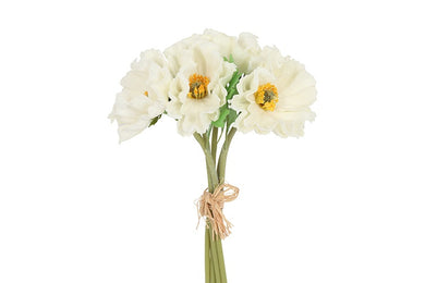 Papaver wit-L32B15H32CM