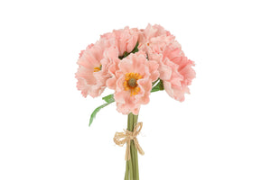 Papaver roze