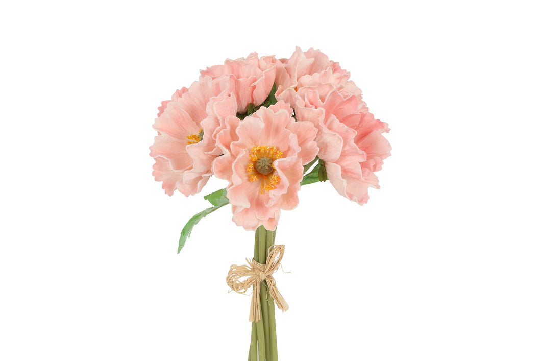 Papaver roze