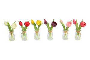Tulip in Fles a6 veelkleurig