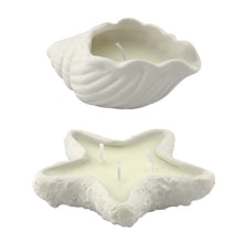 Afbeelding in Gallery-weergave laden, Kaars Coastal Shell &amp; Star Ass 2