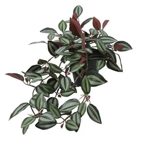 Kunstplant steker/hanger Tradescantia groen