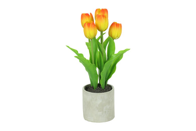 Tulipa oranje-L9,5B9,5H31CM