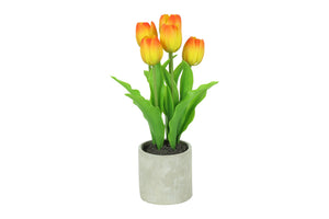 Tulipa oranje-L9,5B9,5H31CM