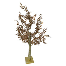 Afbeelding in Gallery-weergave laden, Mansion - Gold Leaves Tree Jasmin 40L 60cm