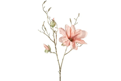 Magnolia S roze-L13B27H86CM