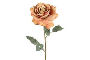 Rosa oud roze-L15B15H67CM