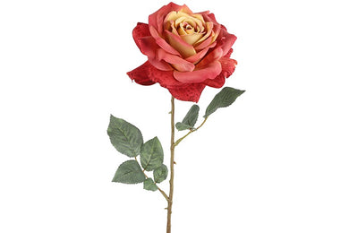 Rosa l.rood-L15B15H67CM