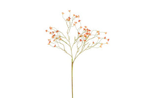 Prunus mume S rood-L15B15H91,44CM