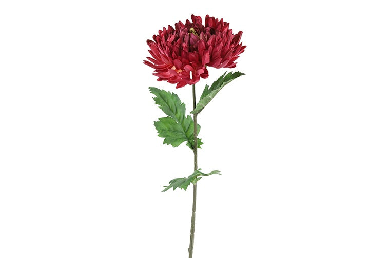 Chrysanthemum paars-L10B10H75CM