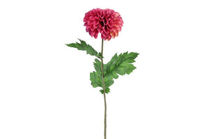 Dahlia paars-L10B10H75CM