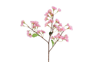 Sakura S lila-L71B10H10CM