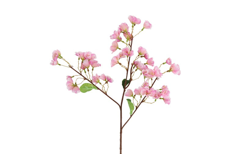 Sakura S lila-L71B10H10CM