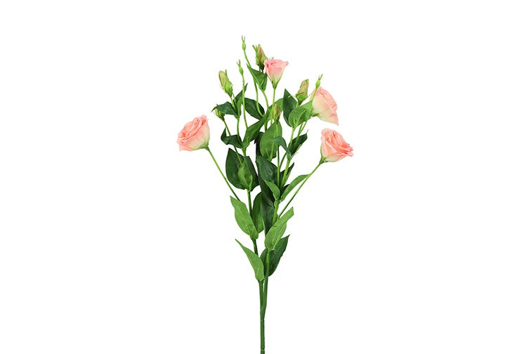 Lisianthus L zalm-L15B15H77CM