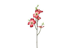 Cornus S roze-L5B20H75CM