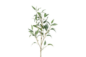 Eucalyptus L wit-L55B55H121CM