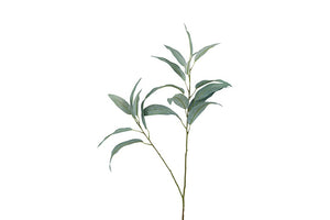 Eucalyptus groen-L26B12H80CM