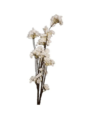 Mansion - Cherry Blossom white 135 cm